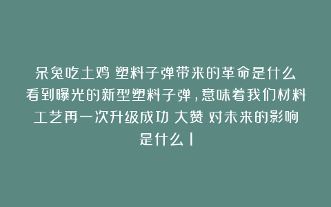 呆兔吃土鸡：塑料子弹带来的革命是什么？看到曝光的新型塑料子弹，意味着我们材料工艺再一次升级成功！大赞！对未来的影响是什么？1