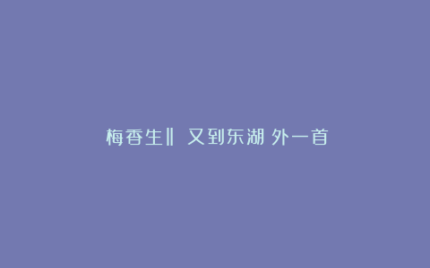 ​梅香生‖​​又到东湖（外一首）