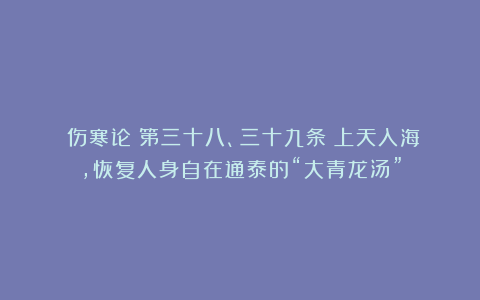 《伤寒论》第三十八、三十九条：上天入海，恢复人身自在通泰的“大青龙汤”