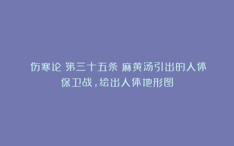 《伤寒论》第三十五条：麻黄汤引出的人体保卫战，绘出人体地形图
