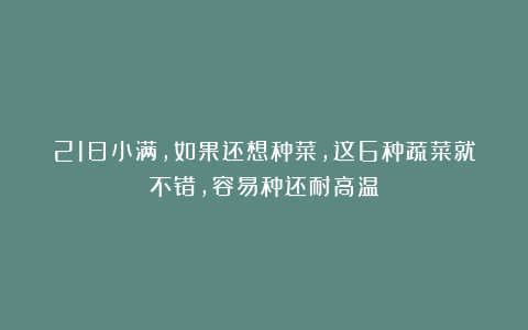 21日小满，如果还想种菜，这6种蔬菜就不错，容易种还耐高温