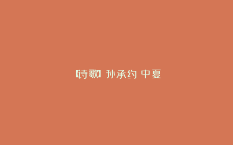 【诗歌】孙承约：中夏