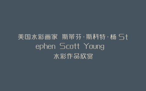 美国水彩画家 斯蒂芬·斯科特·杨（Stephen Scott Young） 水彩作品欣赏