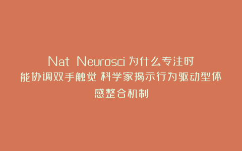 Nat Neurosci：为什么专注时能协调双手触觉？科学家揭示行为驱动型体感整合机制