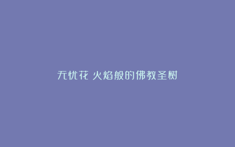 无忧花：火焰般的佛教圣树‌