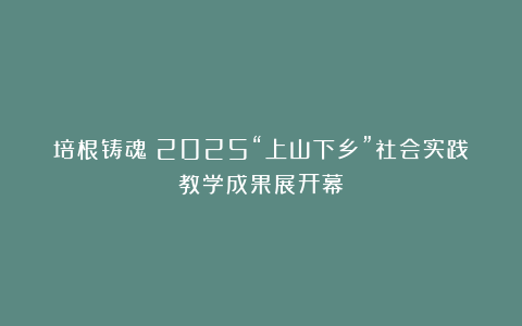 培根铸魂丨2025“上山下乡”社会实践教学成果展开幕