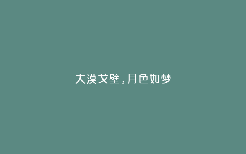 大漠戈壁，月色如梦