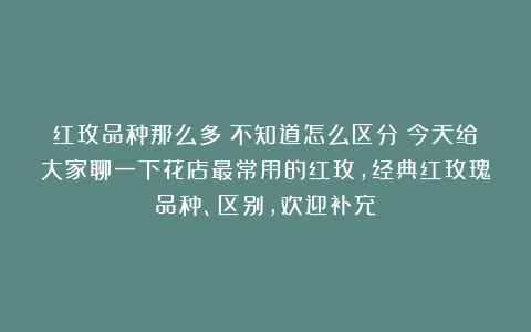 红玫品种那么多？不知道怎么区分？今天给大家聊一下花店最常用的红玫，经典红玫瑰品种、区别，欢迎补充