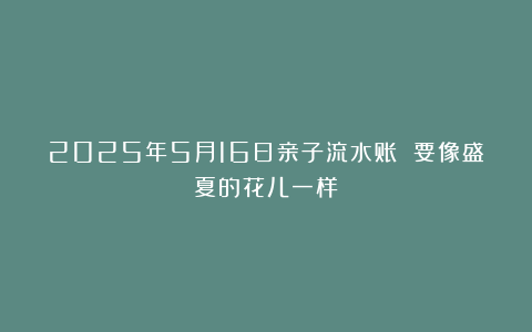 2025年5月16日亲子流水账 要像盛夏的花儿一样
