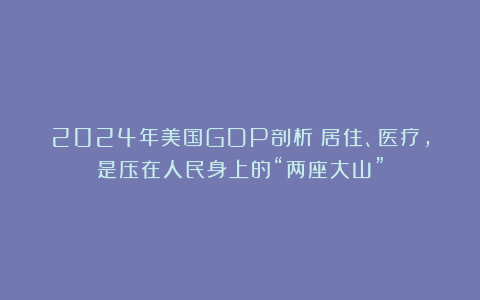 2024年美国GDP剖析：居住、医疗，是压在人民身上的“两座大山”