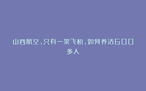 山西航空，只有一架飞机，如何养活600多人？
