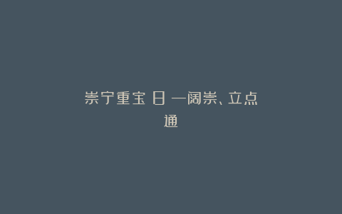 崇宁重宝（8）—阔崇、立点通
