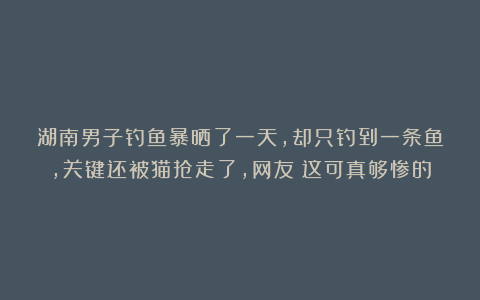 湖南男子钓鱼暴晒了一天，却只钓到一条鱼，关键还被猫抢走了，网友：这可真够惨的