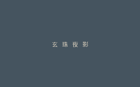 玄 珠 夜 影