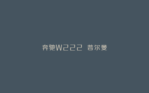 奔驰W222 普尔曼