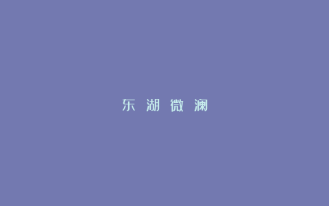 东 湖 微 澜