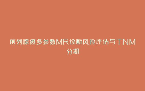 前列腺癌多参数MR诊断风险评估与TNM分期