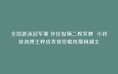 全国游泳冠军赛：孙佳俊摘二枚奖牌 小将徐海博王梓成表现抢眼凤凰网湖北
