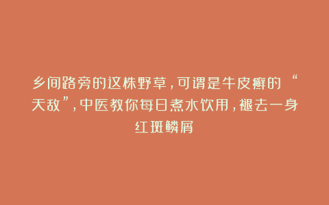 乡间路旁的这株野草,可谓是牛皮癣的 “天敌”,中医教你每日煮水饮用,褪去一身红斑鳞屑!