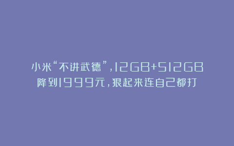 小米“不讲武德”，12GB+512GB降到1999元，狠起来连自己都打