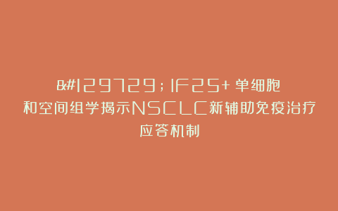 🫁｜IF25+｜单细胞和空间组学揭示NSCLC新辅助免疫治疗应答机制
