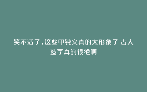 笑不活了，这些甲骨文真的太形象了！古人造字真的很绝啊！