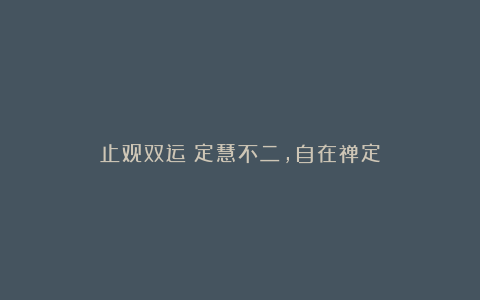 止观双运：定慧不二，自在禅定
