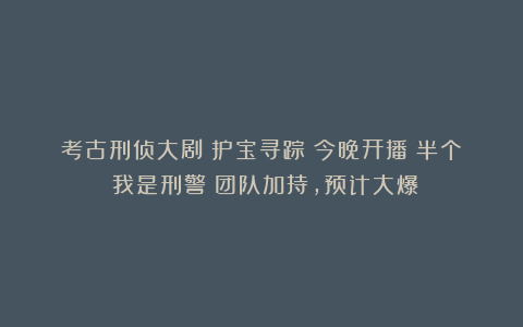 考古刑侦大剧《护宝寻踪》今晚开播！半个《我是刑警》团队加持，预计大爆