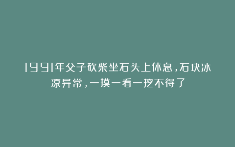1991年父子砍柴坐石头上休息，石块冰凉异常，一摸一看一挖不得了