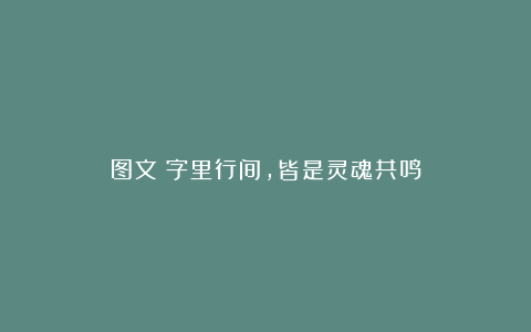 图文：字里行间，皆是灵魂共鸣