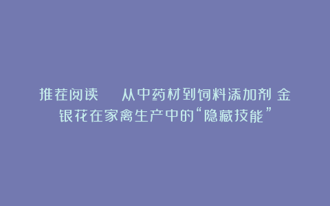 推荐阅读 | 从中药材到饲料添加剂：金银花在家禽生产中的“隐藏技能”
