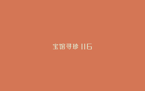 宝馆寻珍（116）