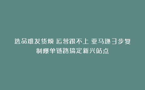 选品难发货烦？运营跟不上？亚马逊3步复制爆单链路搞定新兴站点！