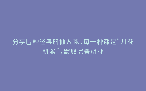 分享6种经典的仙人球，每一种都是“开花机器”，绽放层叠群花