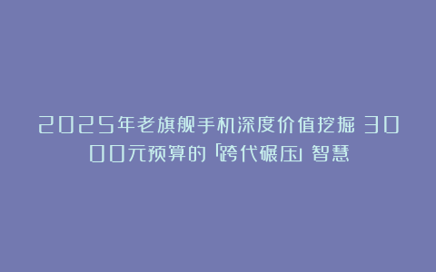 2025年老旗舰手机深度价值挖掘：3000元预算的「跨代碾压」智慧