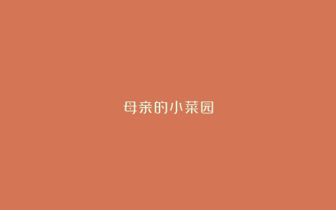 母亲的小菜园