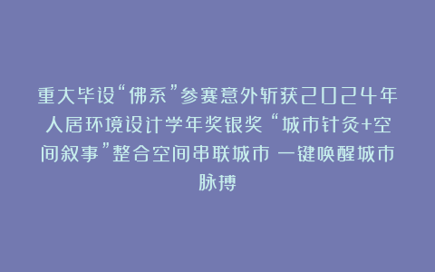 重大毕设“佛系”参赛意外斩获2024年人居环境设计学年奖银奖！“城市针灸+空间叙事”整合空间串联城市！一键唤醒城市脉搏