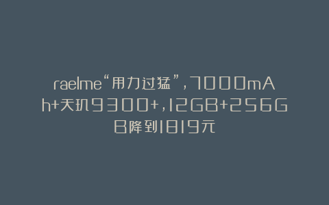 raelme“用力过猛”，7000mAh+天玑9300+，12GB+256GB降到1819元