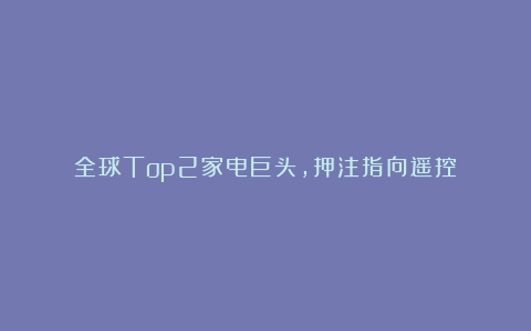 全球Top2家电巨头，押注指向遥控！