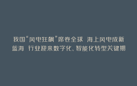 我国“风电狂飙”席卷全球 海上风电成新蓝海 行业迎来数字化、智能化转型关键期