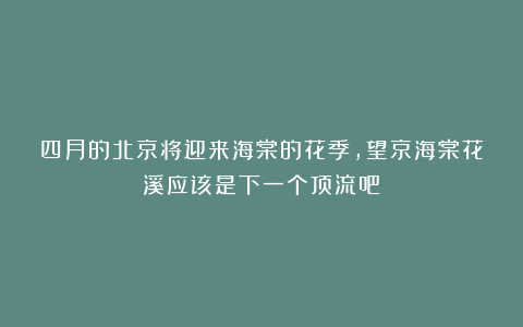 四月的北京将迎来海棠的花季，望京海棠花溪应该是下一个顶流吧！
