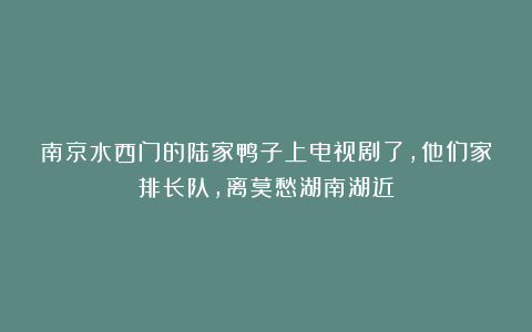 南京水西门的陆家鸭子上电视剧了，他们家排长队，离莫愁湖南湖近