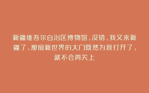 新疆维吾尔自治区博物馆，没错，我又来新疆了，那扇新世界的大门既然为我打开了，就不会再关上