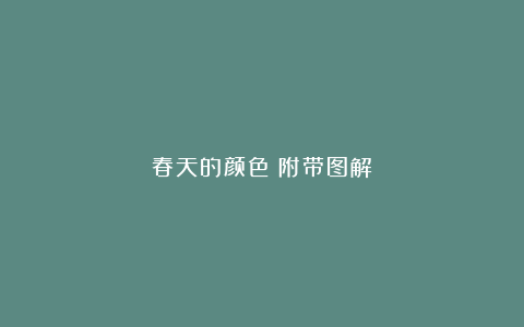 春天的颜色｜附带图解