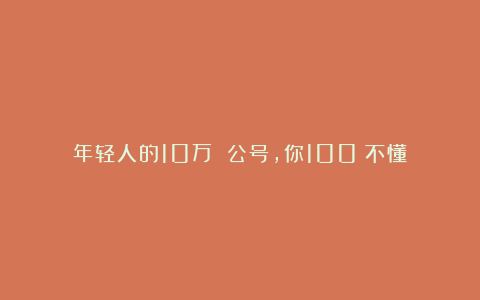 年轻人的10万 公号，你100%不懂！