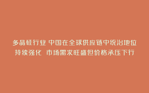 多晶硅行业：中国在全球供应链中统治地位持续强化 市场需求旺盛但价格承压下行