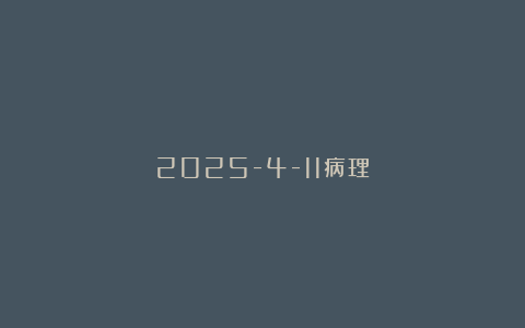2025-4-11病理