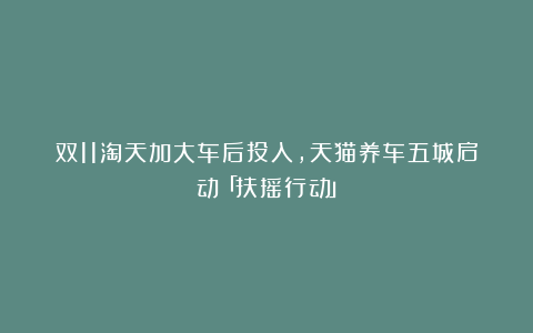 双11淘天加大车后投入，天猫养车五城启动「扶摇行动」