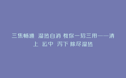 三焦畅通 湿热自消！教你一招三用——清上 运中 泻下！除尽湿热