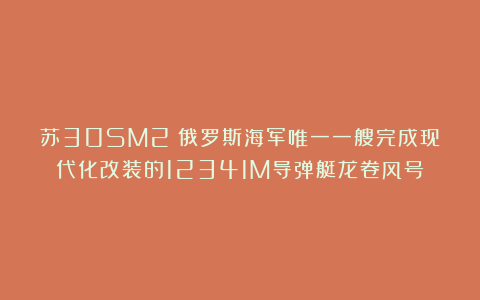 苏30SM2：俄罗斯海军唯一一艘完成现代化改装的12341M导弹艇龙卷风号